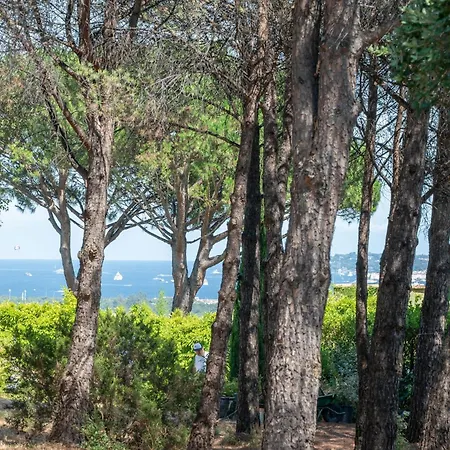 Peridron * Grimaud